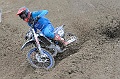 _ROB3314 (Copy)
